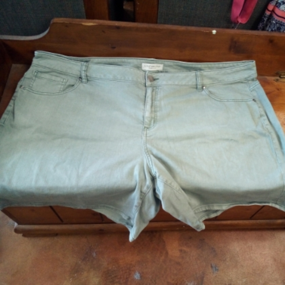Lane Bryant Women's  PLUS Size 28 Denim Short Shorts  Green Regular Cotton Blend